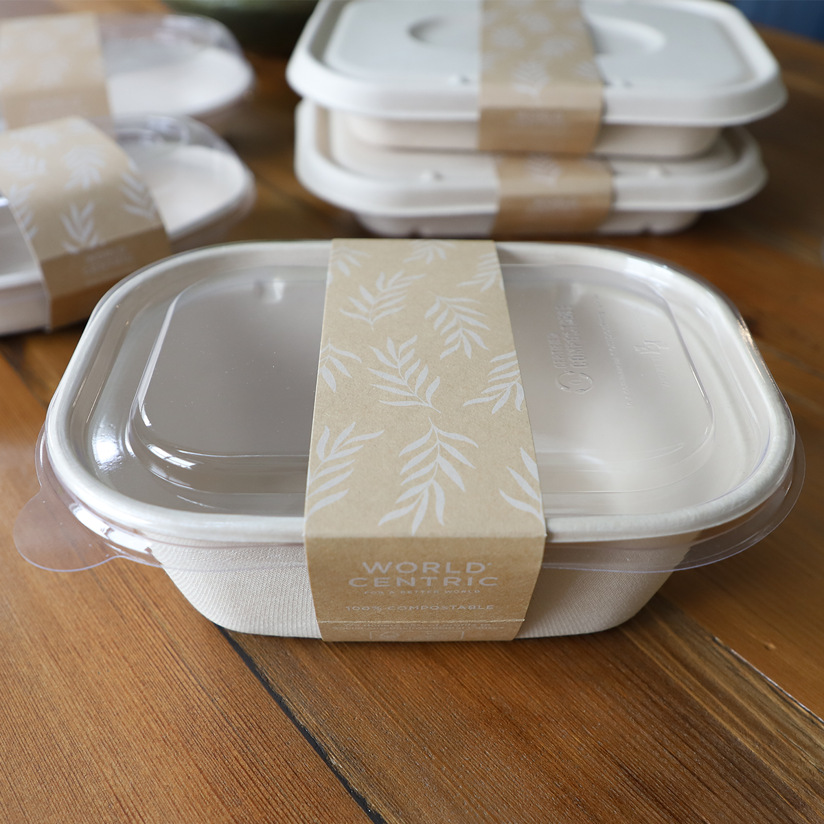 World Centric Large Box Sleeve - Fits 48 oz (QTY:800)