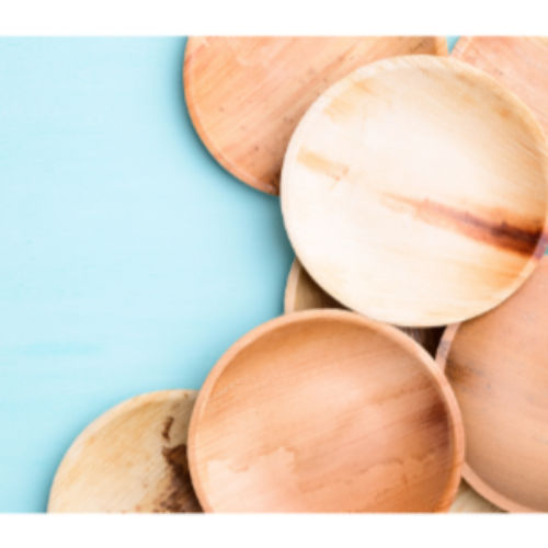 Palm leaf  6 Inch Round Plate (600 Pack) 0.25 each