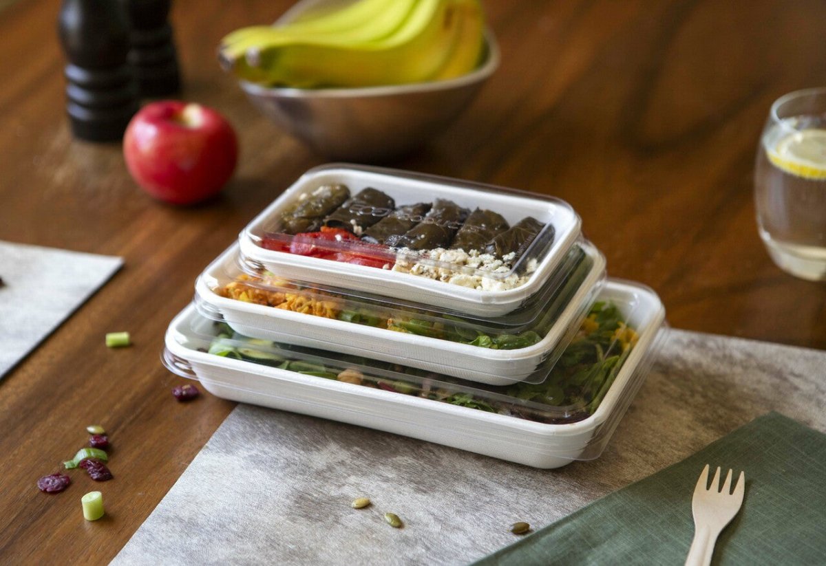 GreenStripe WorldView Renewable & Compostable Lid, Low Profile Vented, Fits 12 and 16oz Rectangle Molded Fiber Take-Out Containers (QTY:400)