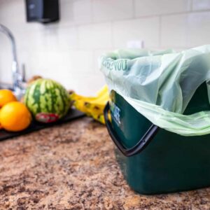 EcoSafe Zero Waste Compostable Shopping Bag with Handles, 12 × 7 × 20 in, 0.85 mil, 15 lb Capacity (QTY 500), SKU TB1920-85