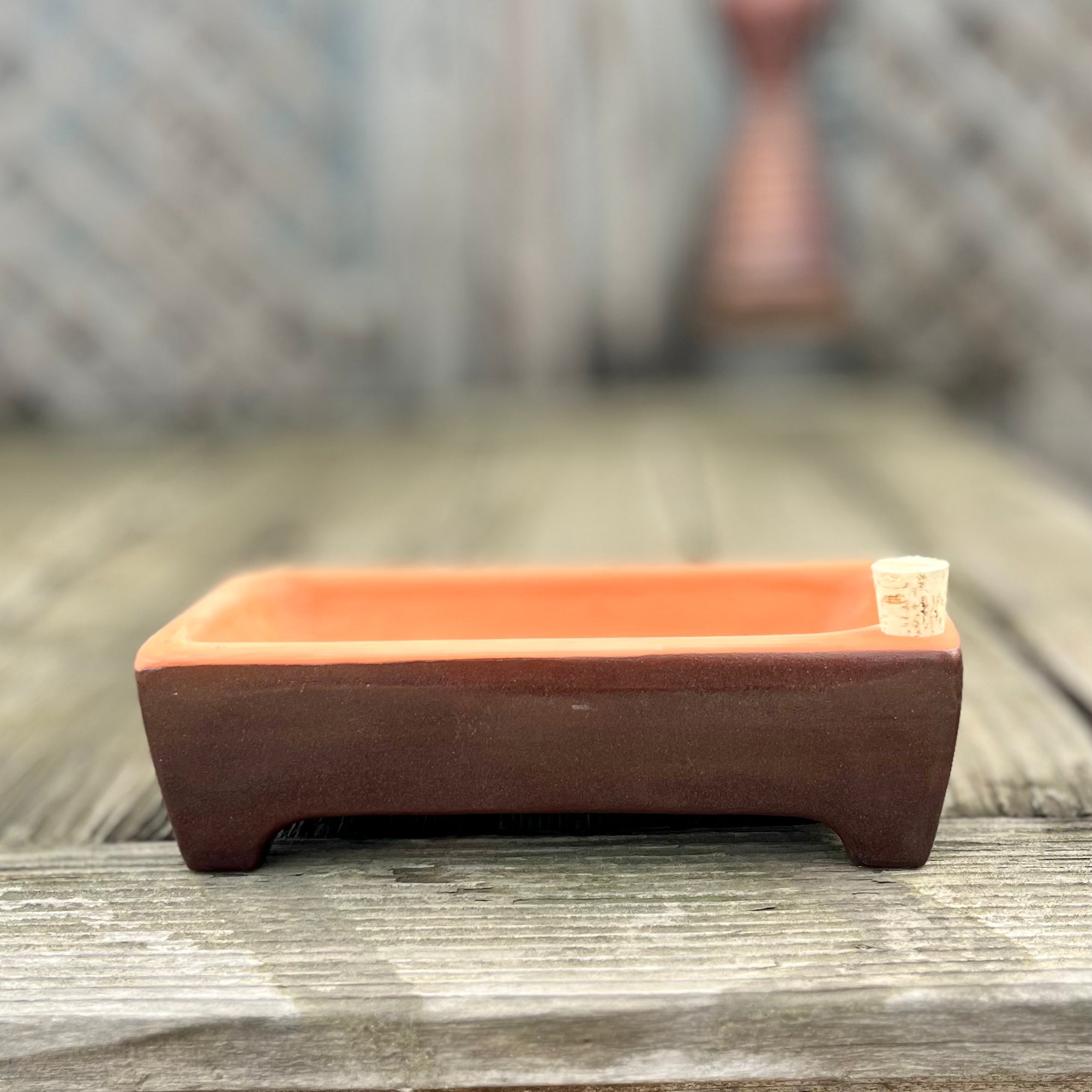 Large Microgreen Kit, Non-Toxic and Self-Watering