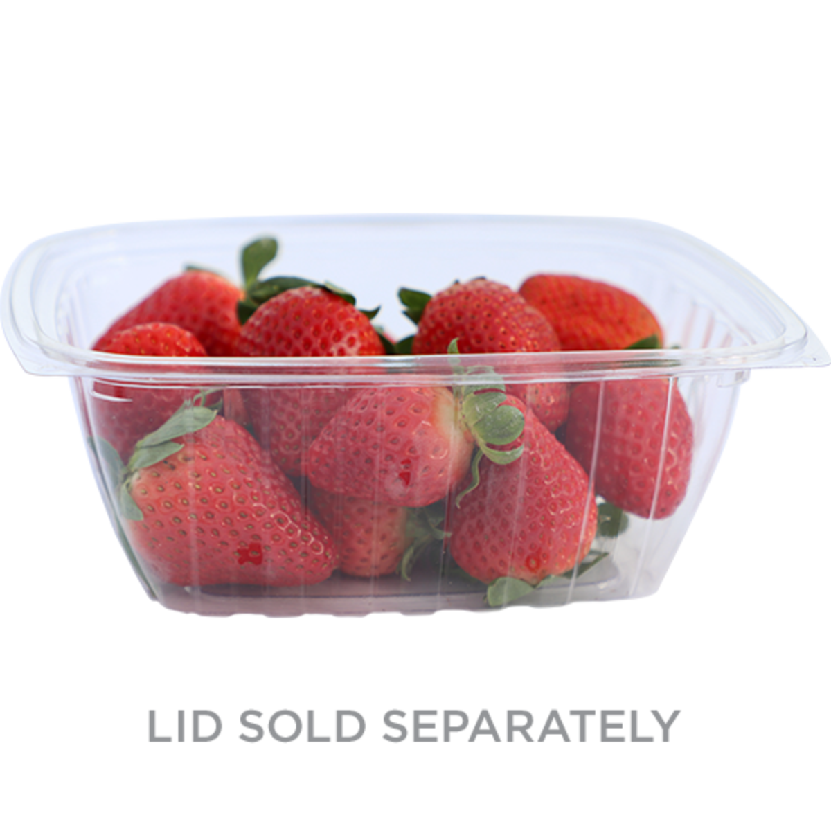 World Centric 32 oz Rectangular Deli, Clear (QTY:600)