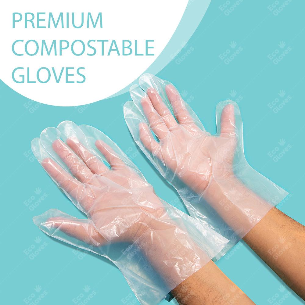 Compostable Disposable Gloves - Clear (100 gloves/box) | Eco Gloves