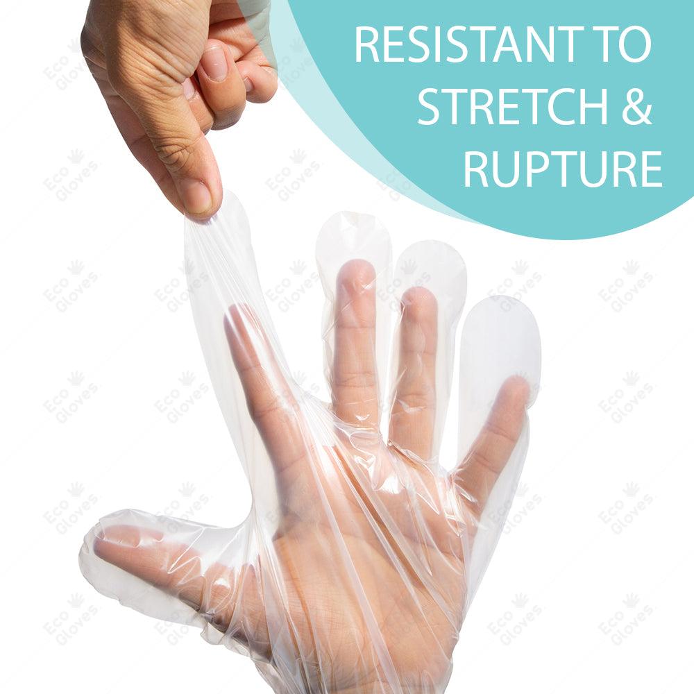 Compostable Disposable Gloves - Clear (100 gloves/box) | Eco Gloves