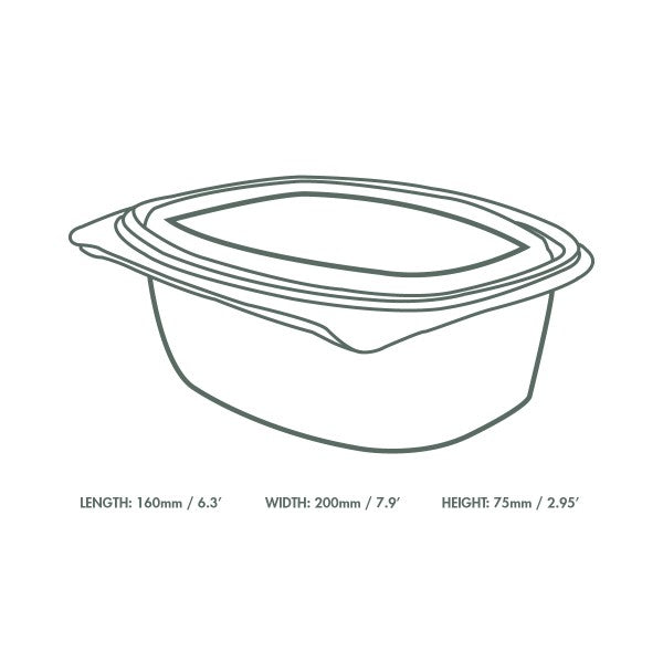 48oz PLA hinged deli container (QTY:200)
