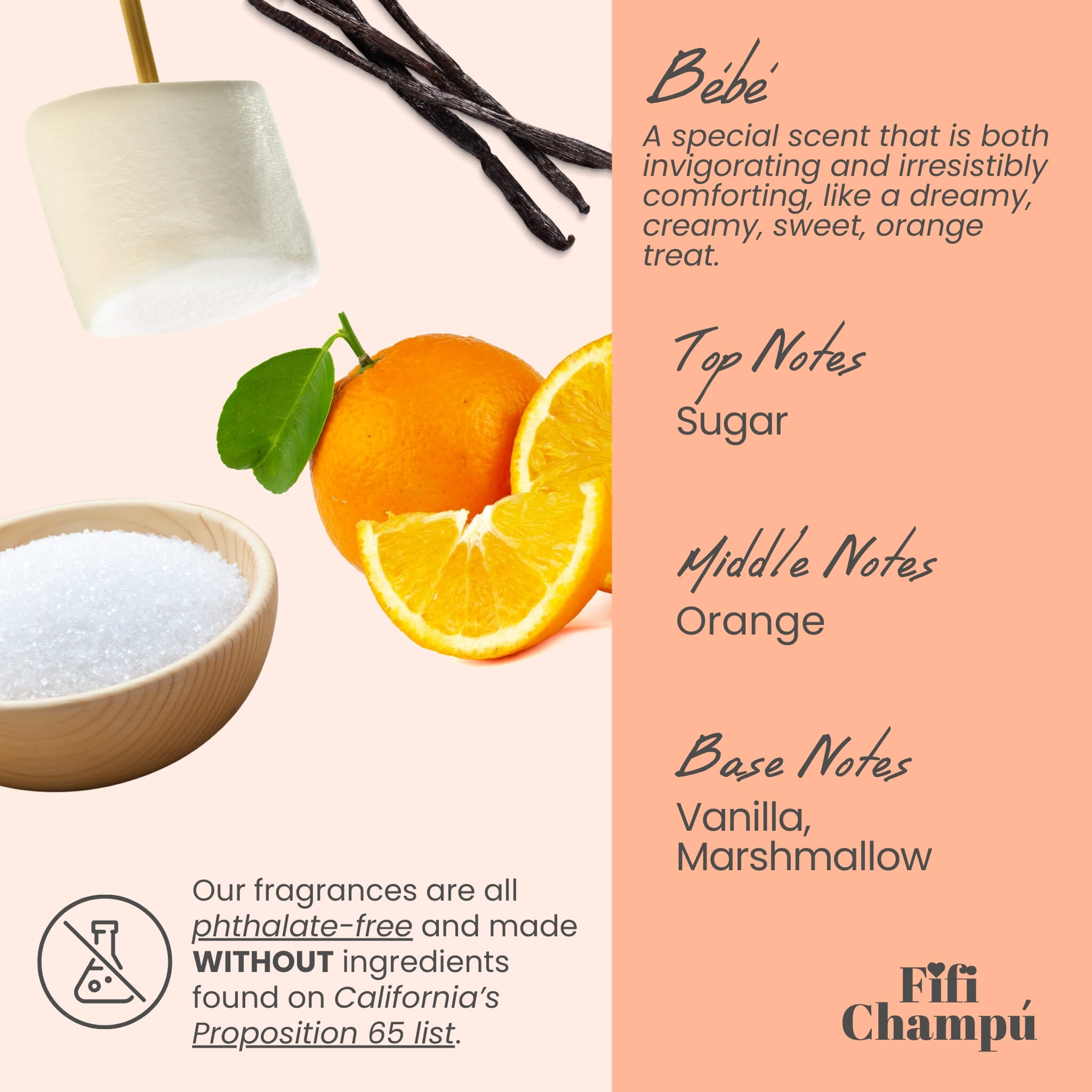 Bébé Conditioner Bar: Lightweight Moisture for Fine Hair and Sensitive Scalps