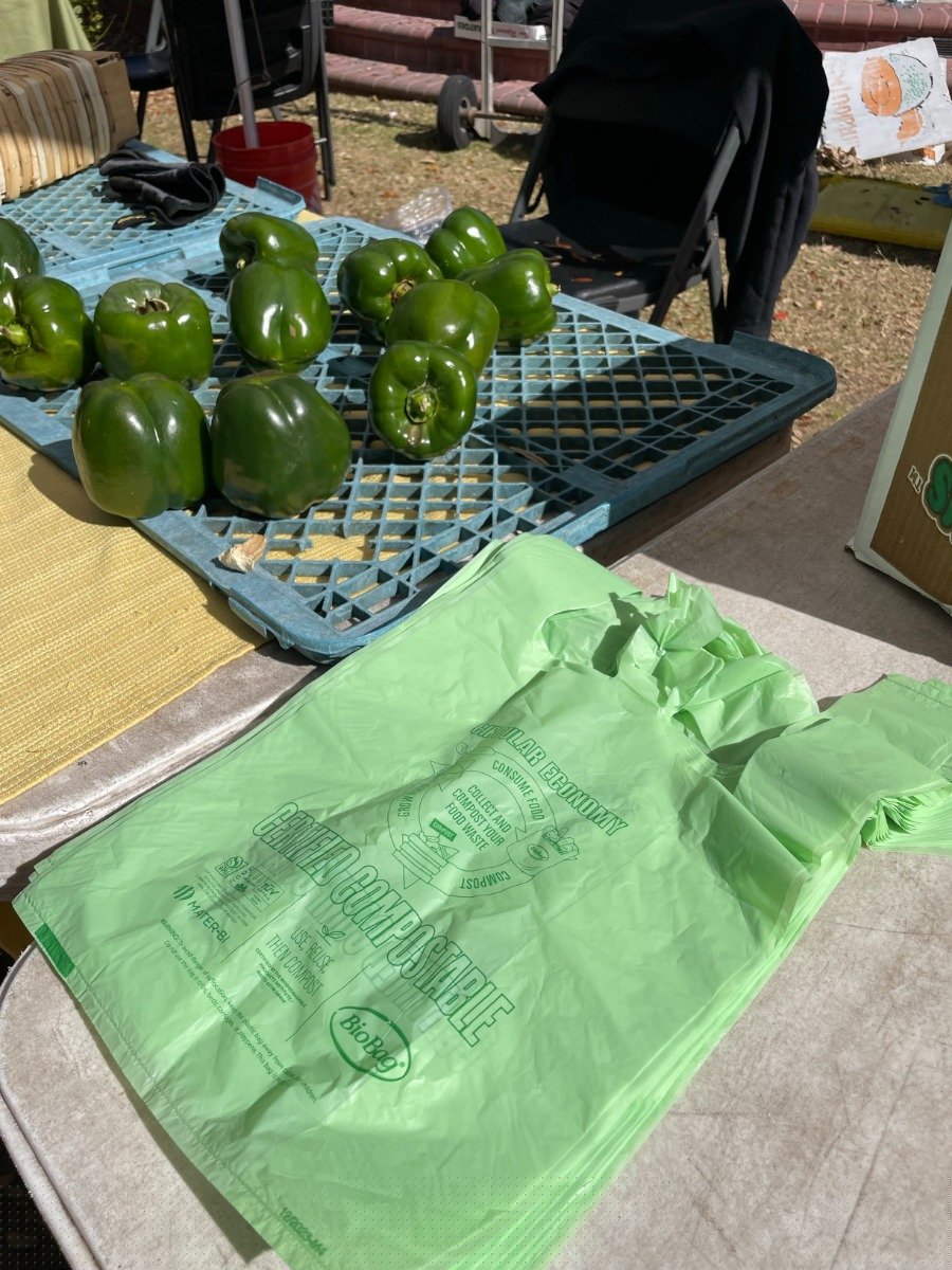 BioBag Small Shopper Compostable Bags - 15x17 (QTY 600), SKU SmallSHOP