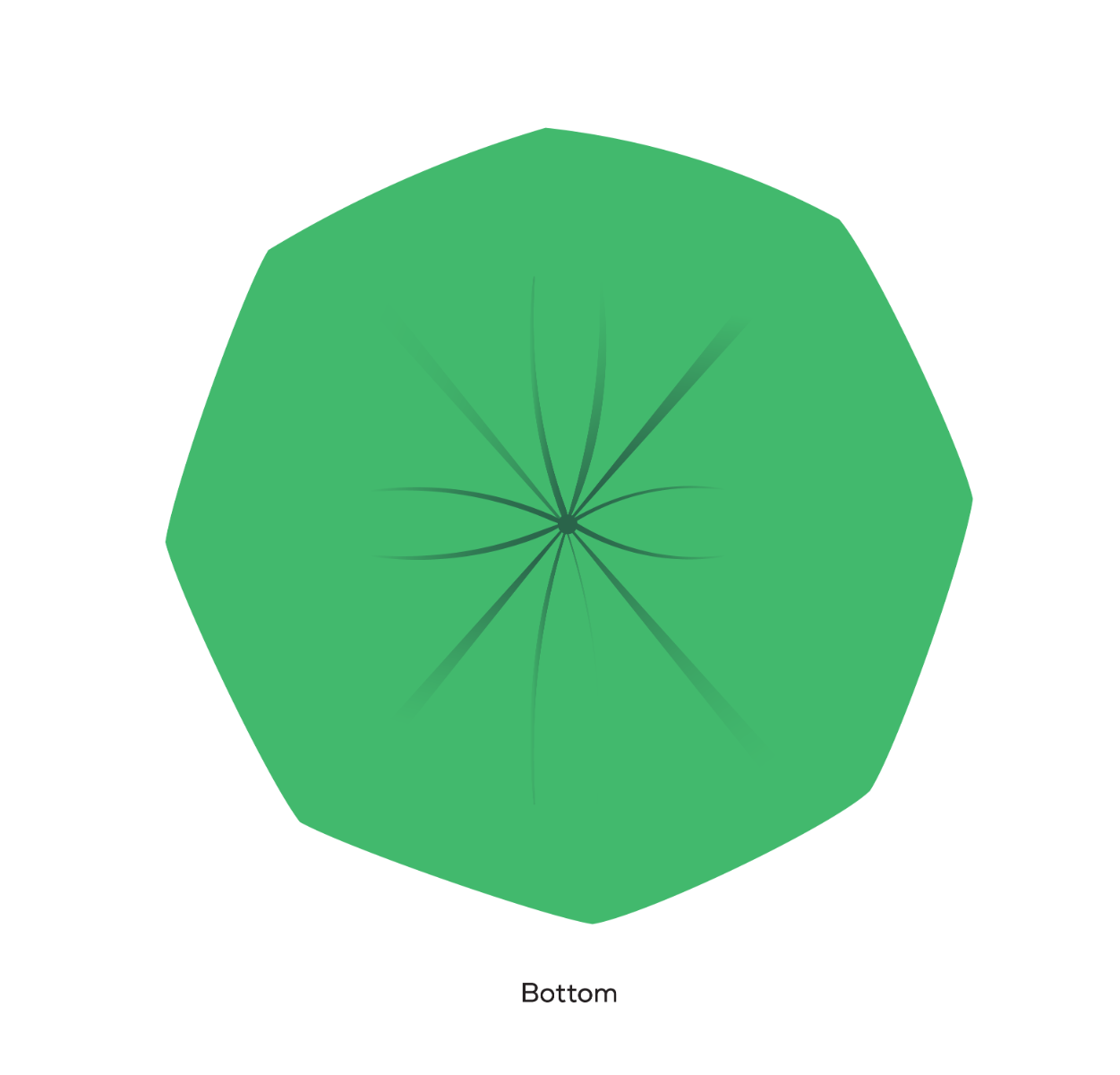 BioBag 32 Gallon Compostable Bags 33x39 (QTY 120), SKU 32G3339