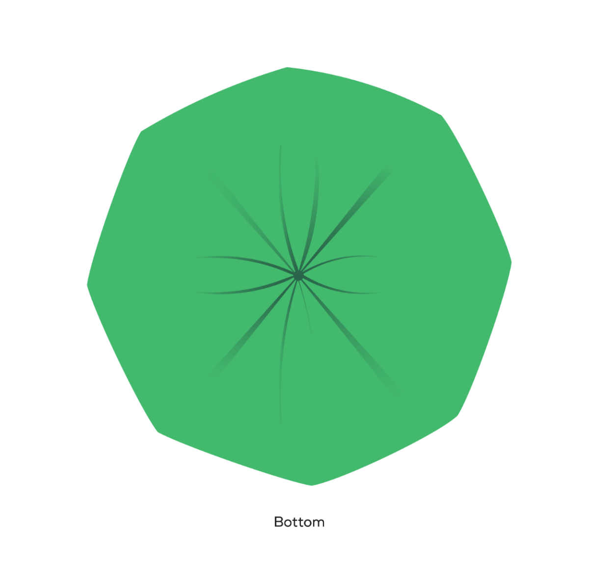 BioBag 44 Gallon Compostable Bags 34x48 Green (QTY 80), BPI Certified, SKU 44G3448