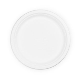 10in bagasse plate (QTY:500)