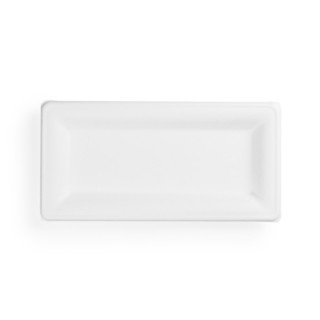 10 x 5in rectangular bagasse plate (QTY:500)